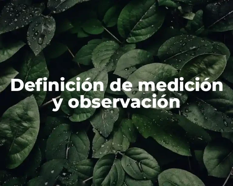 Definición de medición y observación