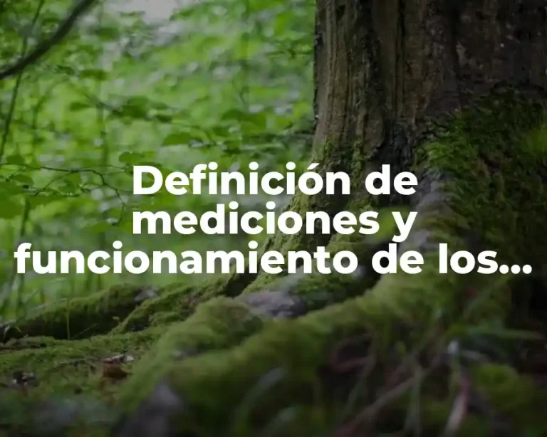 Definición de mediciones y funcionamiento de los motores