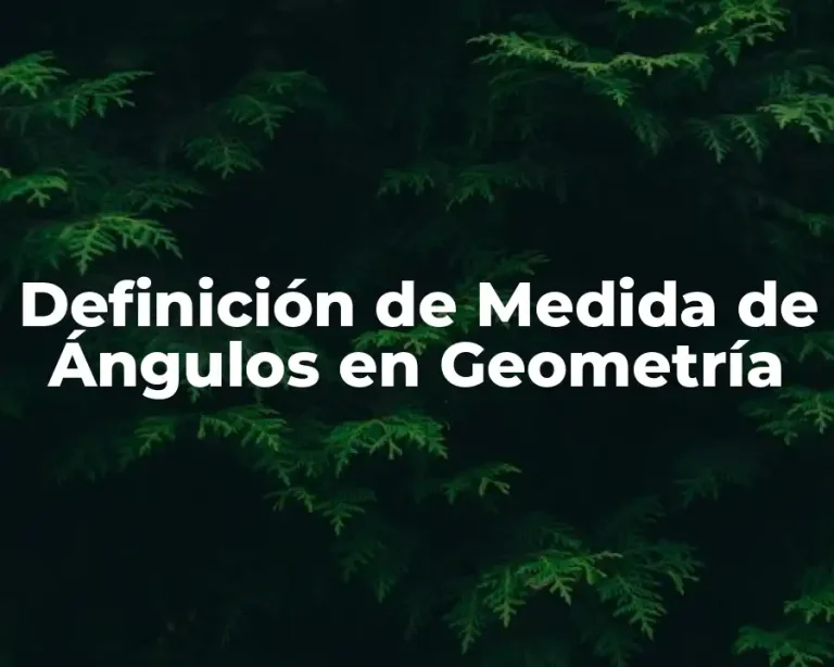 Definición de Medida de Ángulos en Geometría