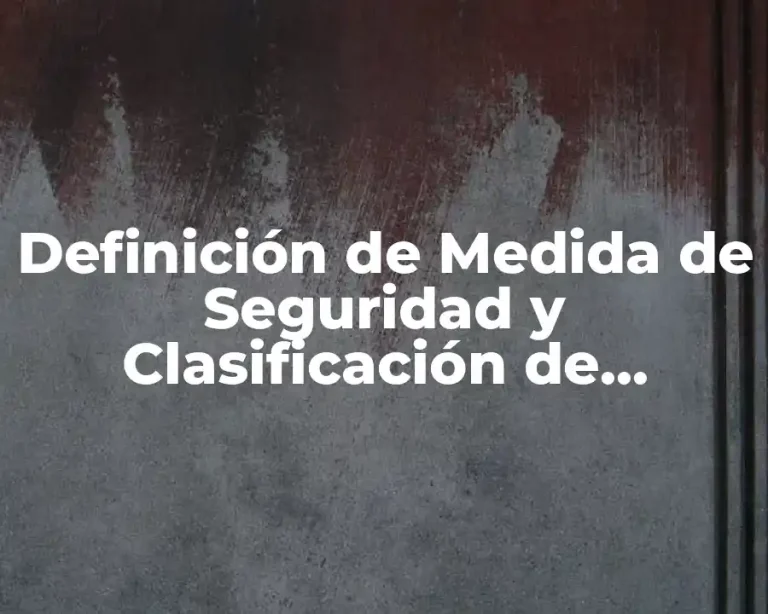 Definición de Medida de Seguridad y Clasificación de Medidas
