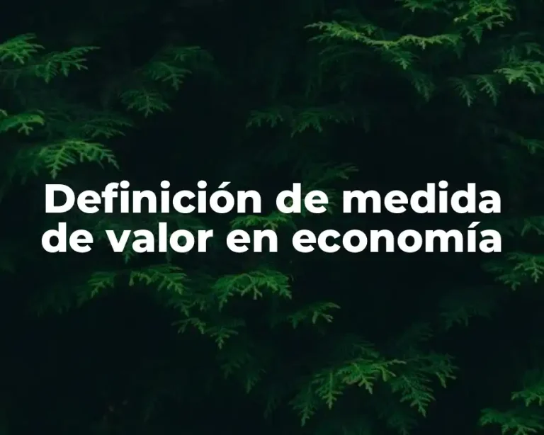 Definición de medida de valor en economía