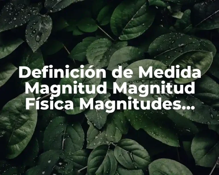 Definición de Medida Magnitud Magnitud Física Magnitudes Fundamentales