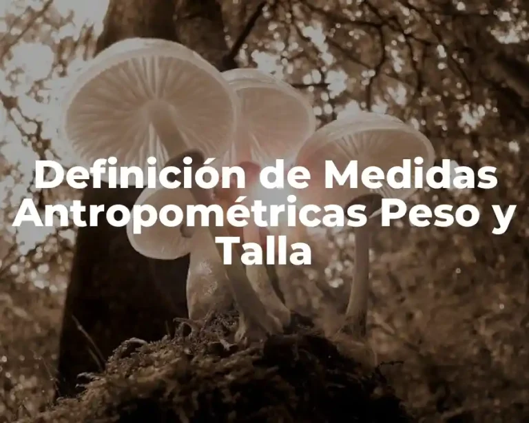 Definición de Medidas Antropométricas Peso y Talla