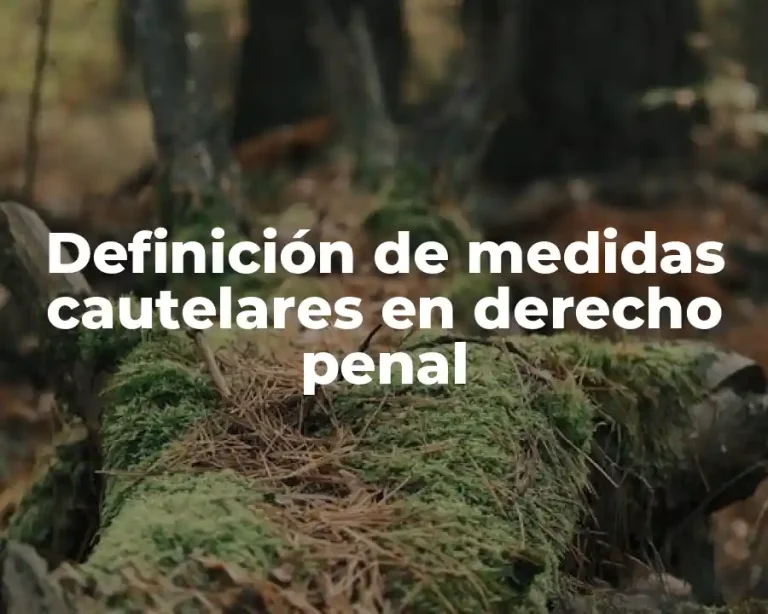 Definición de medidas cautelares en derecho penal