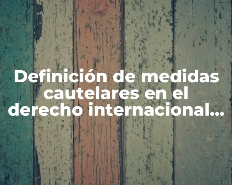 Definición de medidas cautelares en el derecho internacional público