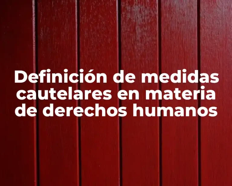 Definición de medidas cautelares en materia de derechos humanos