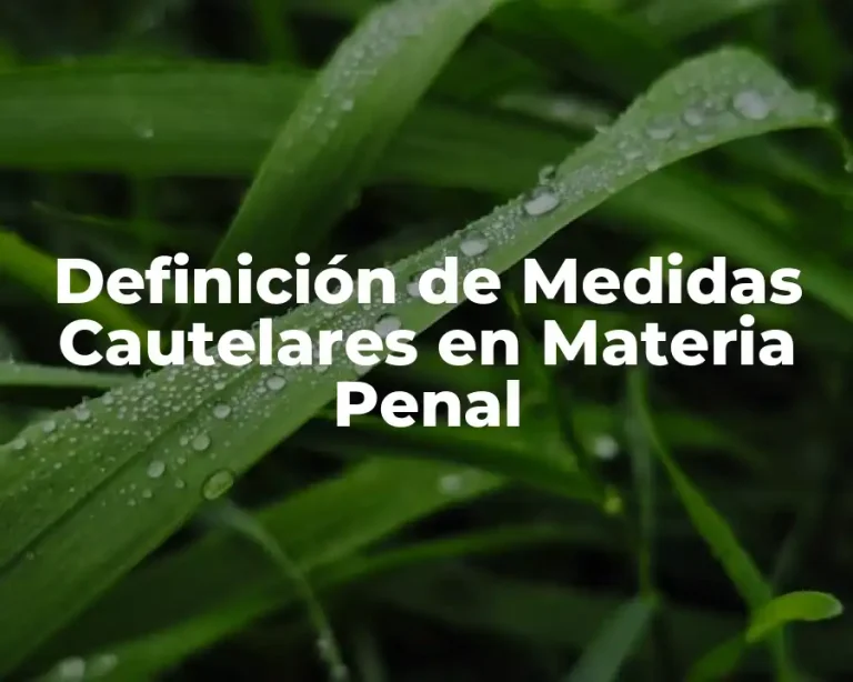 Definición de Medidas Cautelares en Materia Penal