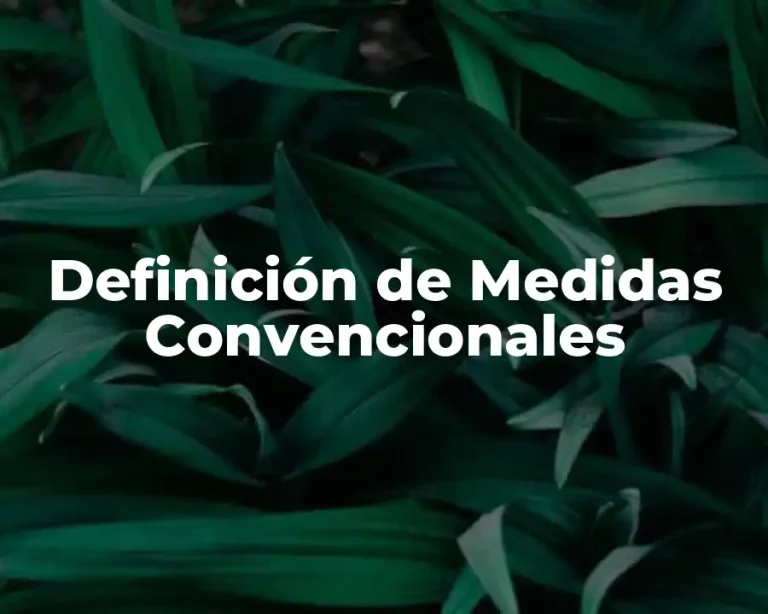 Definición de Medidas Convencionales