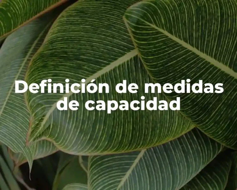 Definición de medidas de capacidad