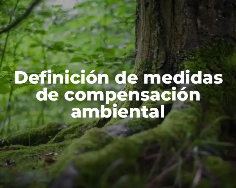 Definición de medidas de compensación ambiental