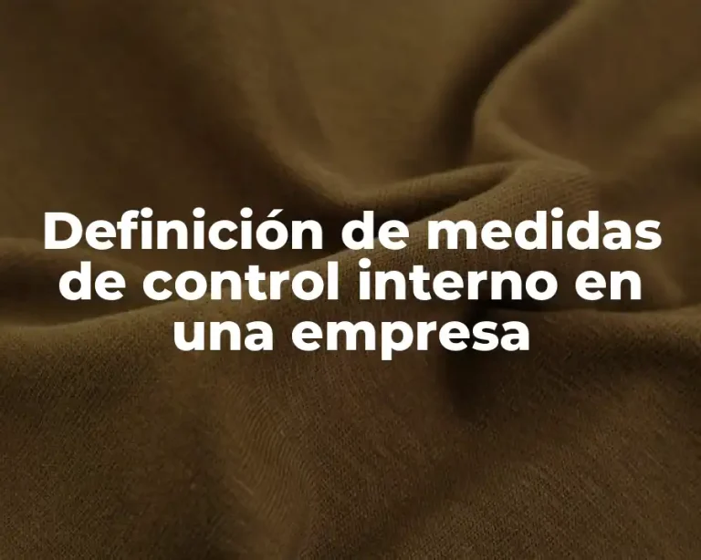 Definición de medidas de control interno en una empresa