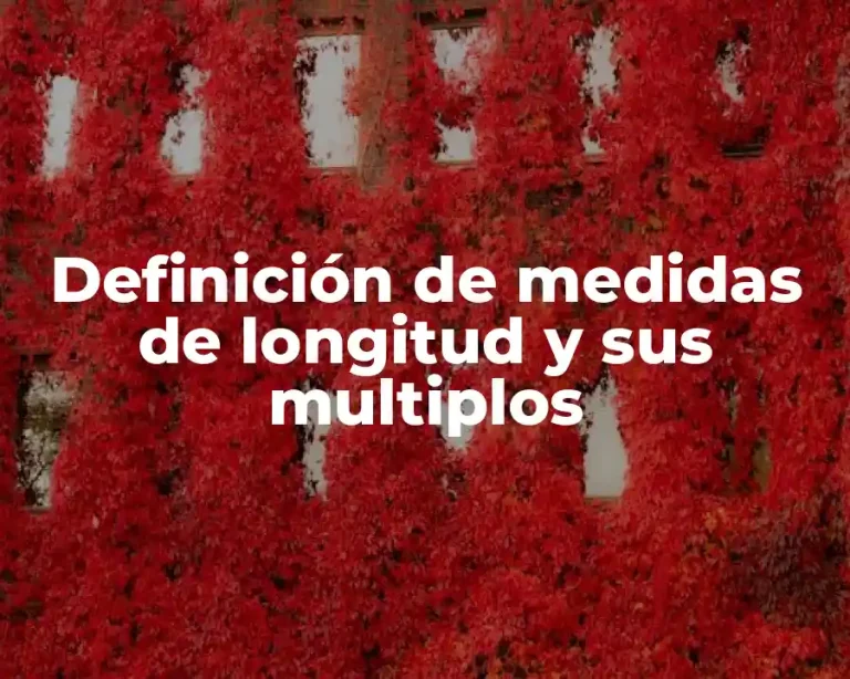 Definición de medidas de longitud y sus multiplos