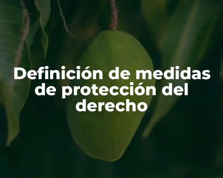 Definición de medidas de protección del derecho
