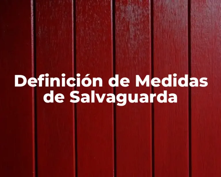 Definición de Medidas de Salvaguarda