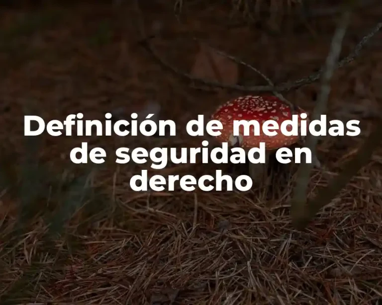 Definición de medidas de seguridad en derecho