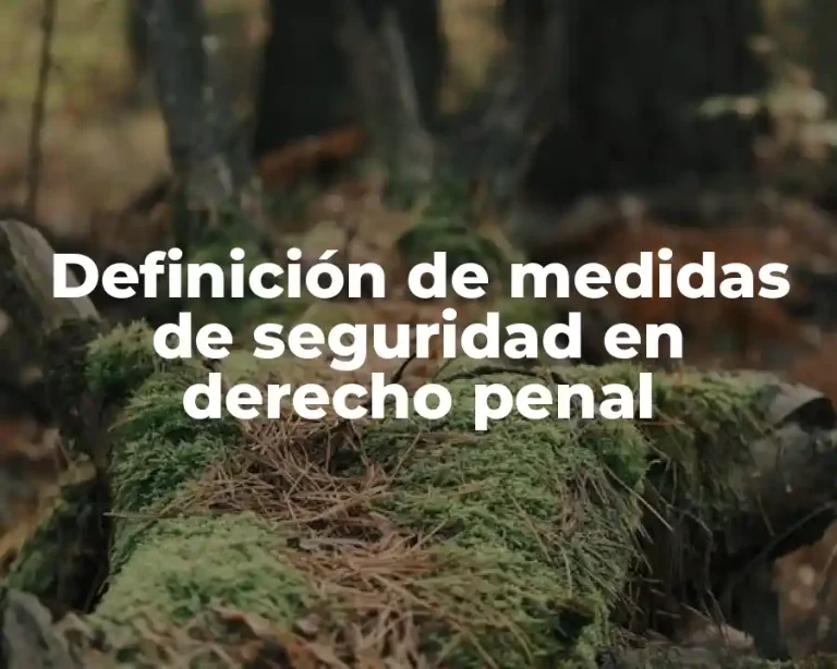 Definición de medidas de seguridad en derecho penal