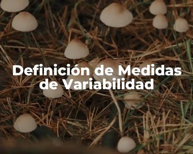 Definición de Medidas de Variabilidad