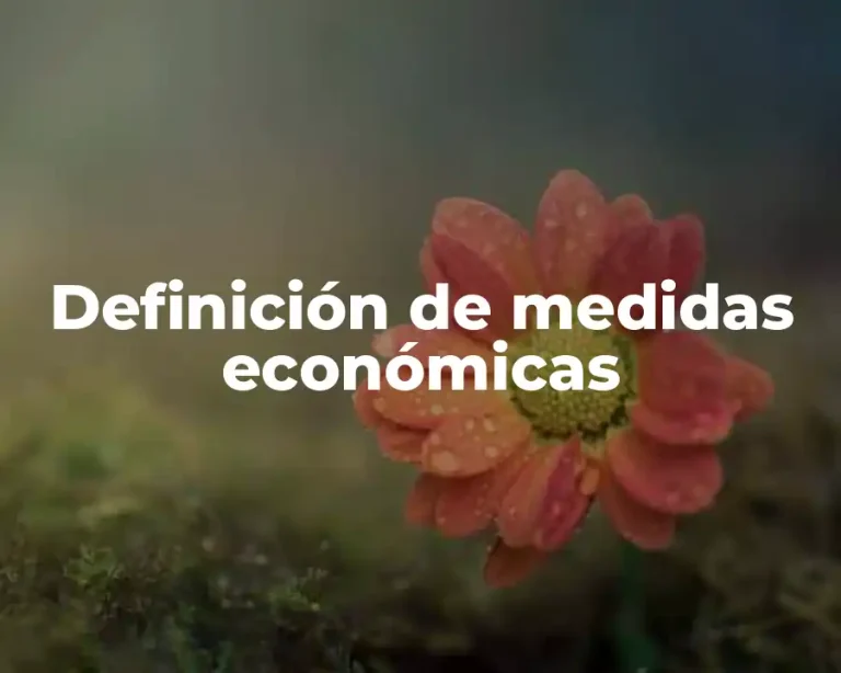 Definición de medidas económicas