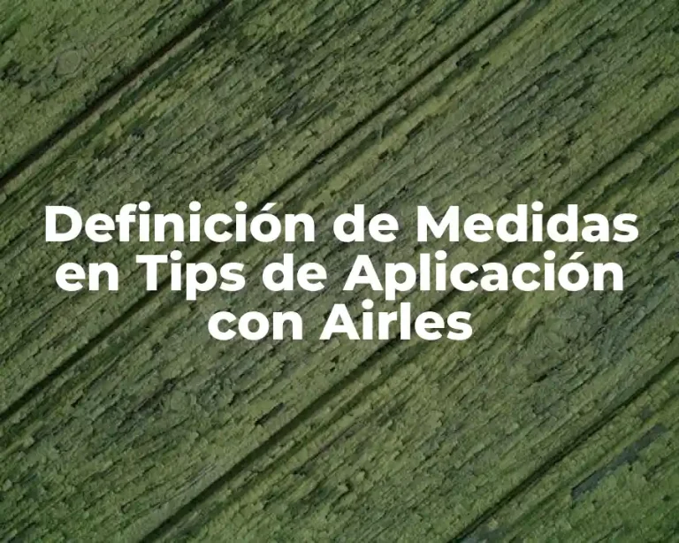 Definición de Medidas en Tips de Aplicación con Airles