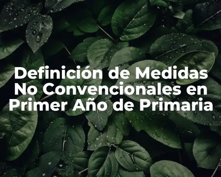 Definición de Medidas No Convencionales en Primer Año de Primaria