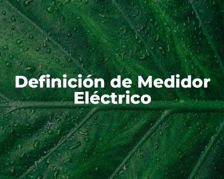 Definición de Medidor Eléctrico
