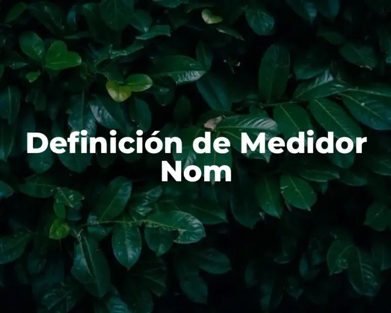 Definición de Medidor Nom