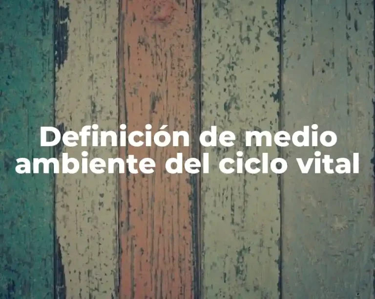 Definición de medio ambiente del ciclo vital
