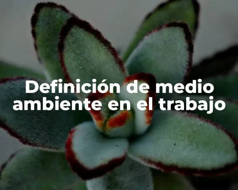 Definición de medio ambiente en el trabajo