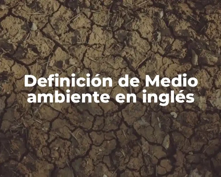 Definición de Medio ambiente en inglés