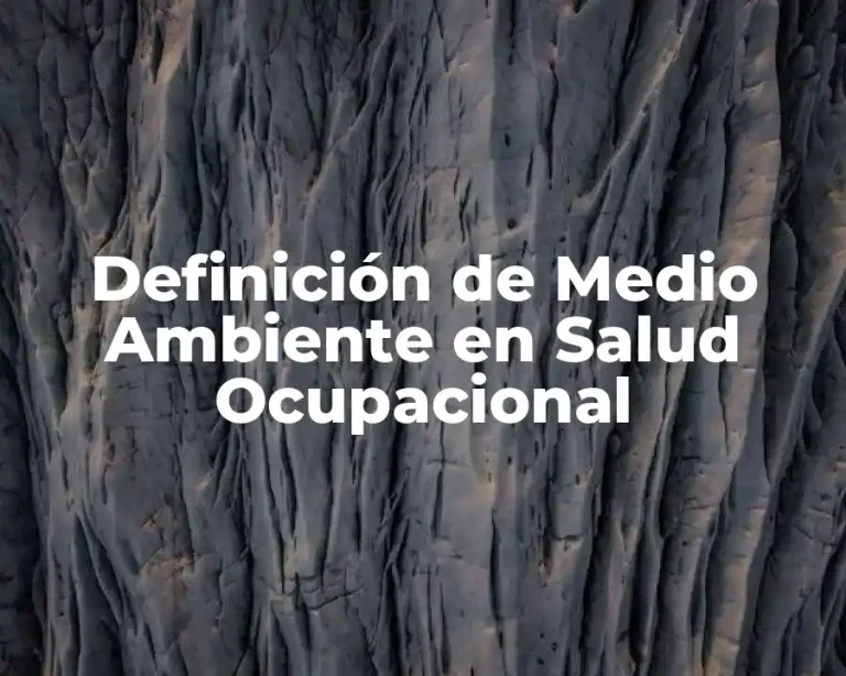 Definición de Medio Ambiente en Salud Ocupacional