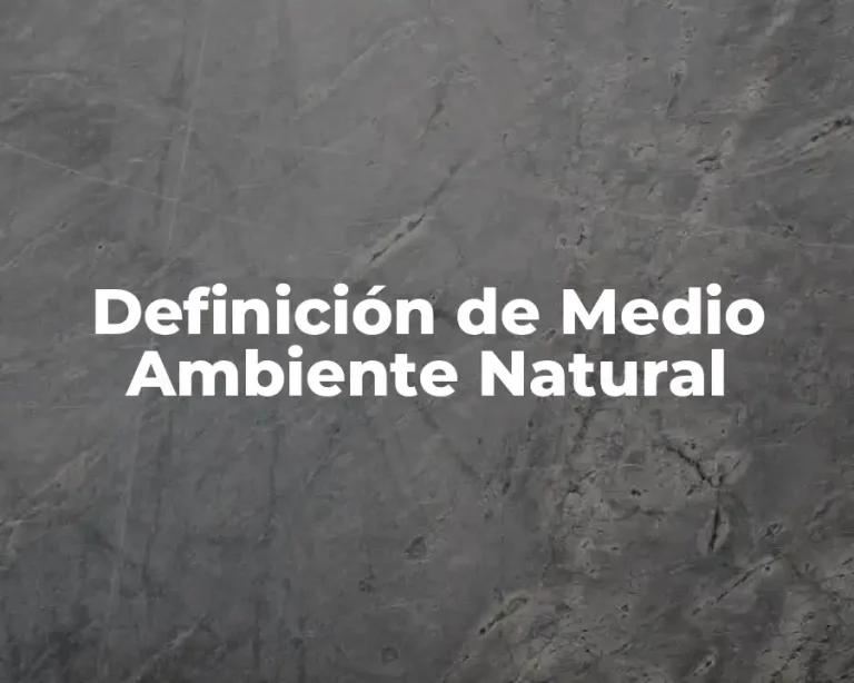 Definición de Medio Ambiente Natural