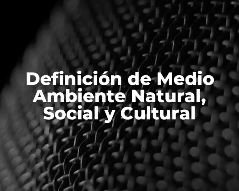 Definición de Medio Ambiente Natural, Social y Cultural