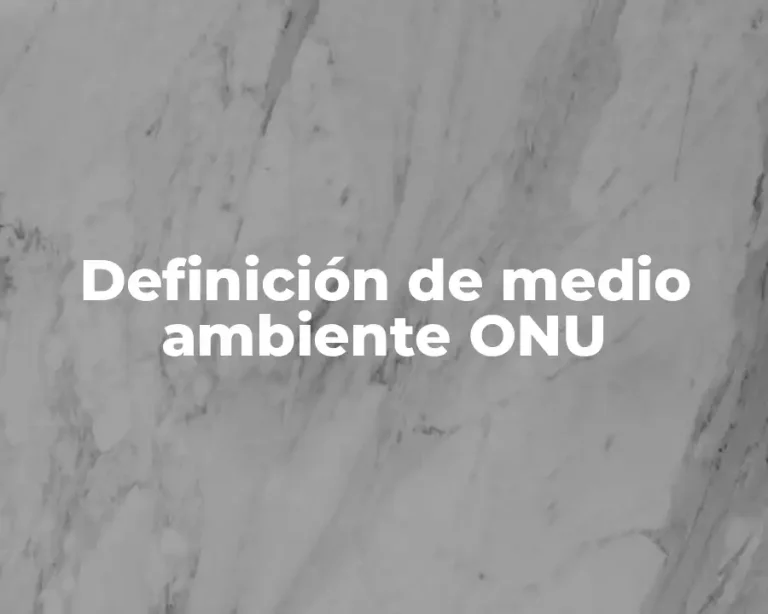 Definición de medio ambiente ONU