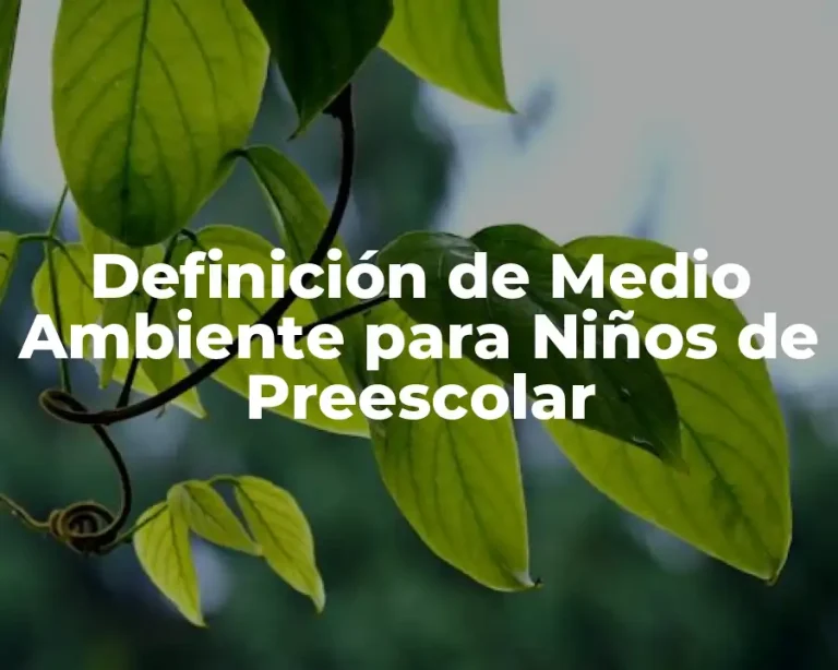 Definición de Medio Ambiente para Niños de Preescolar