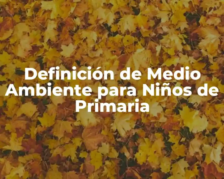 Definición de Medio Ambiente para Niños de Primaria