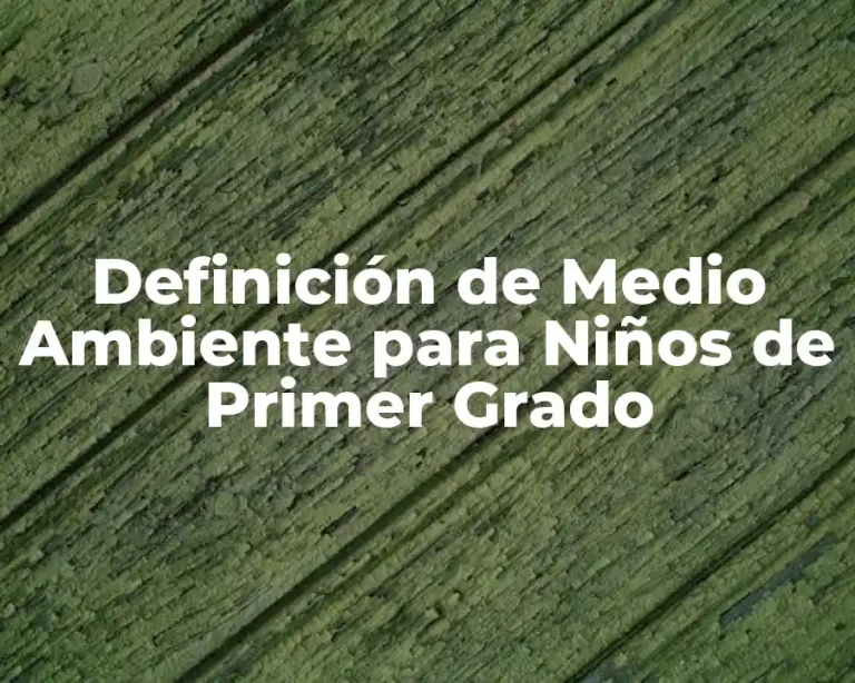 Definición de Medio Ambiente para Niños de Primer Grado