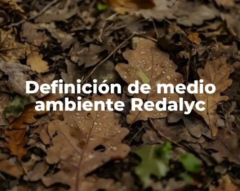 Definición de medio ambiente Redalyc