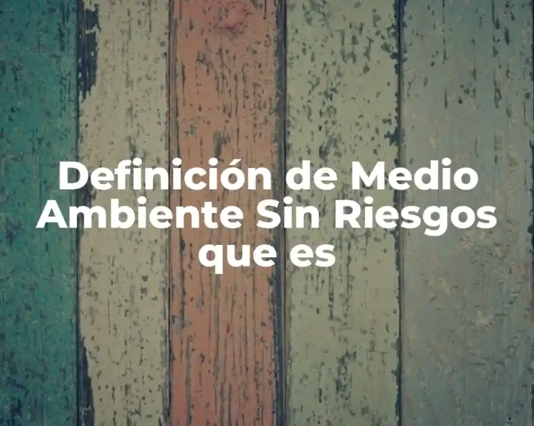 Definición de Medio Ambiente Sin Riesgos que es