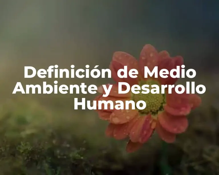Definición de Medio Ambiente y Desarrollo Humano