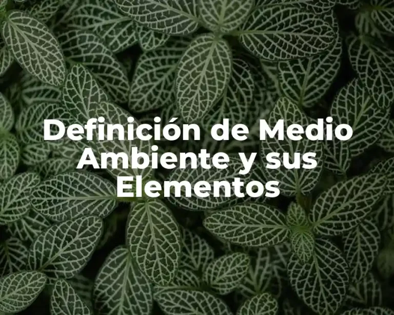 Definición de Medio Ambiente y sus Elementos
