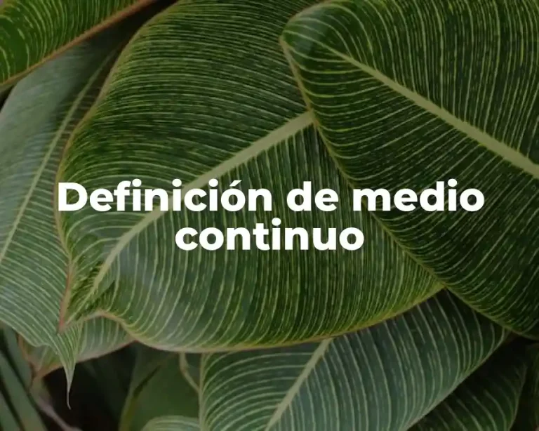 Definición de medio continuo