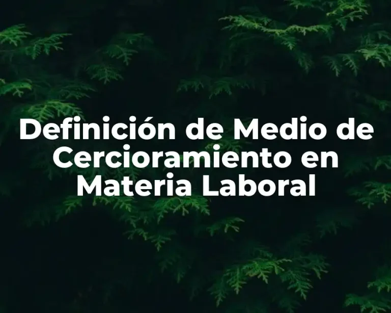 Definición de Medio de Cercioramiento en Materia Laboral