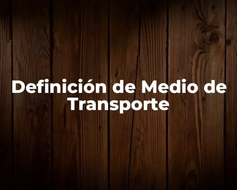 Definición de Medio de Transporte