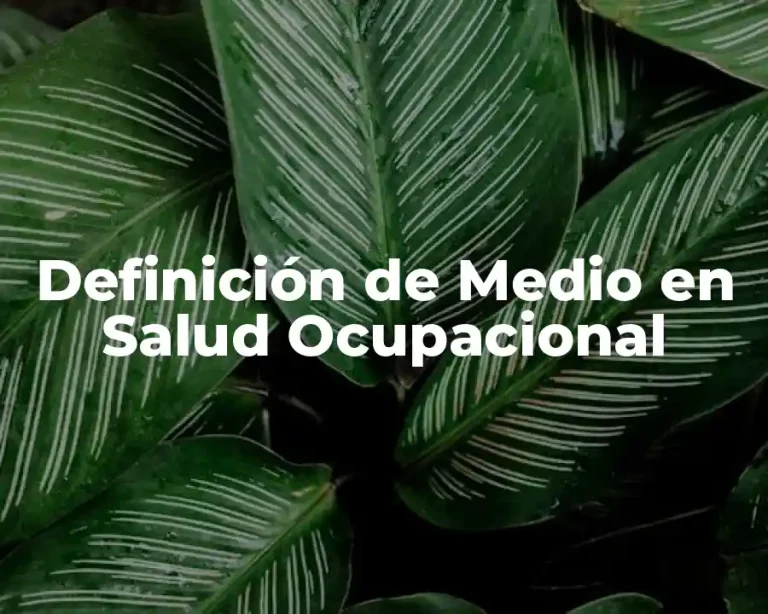 Definición de Medio en Salud Ocupacional
