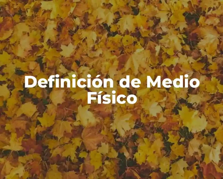 Definición de Medio Físico