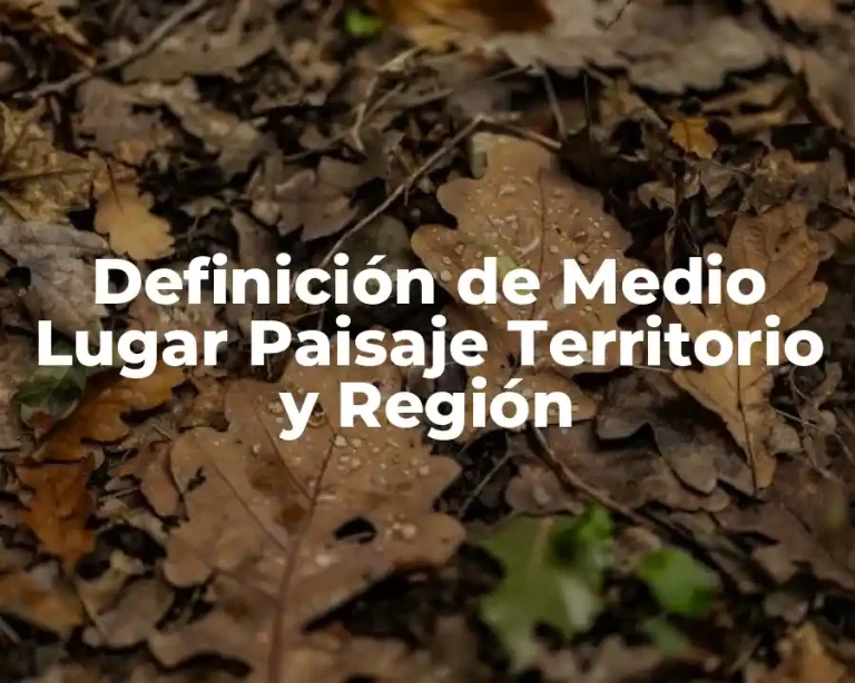 Definición de Medio Lugar Paisaje Territorio y Región