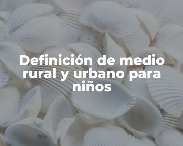 Definición de medio rural y urbano para niños