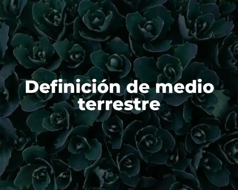 Definición de medio terrestre