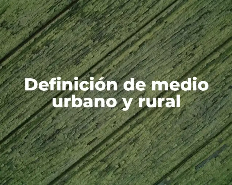 Definición de medio urbano y rural
