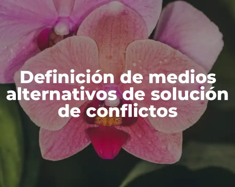 Definición de medios alternativos de solución de conflictos